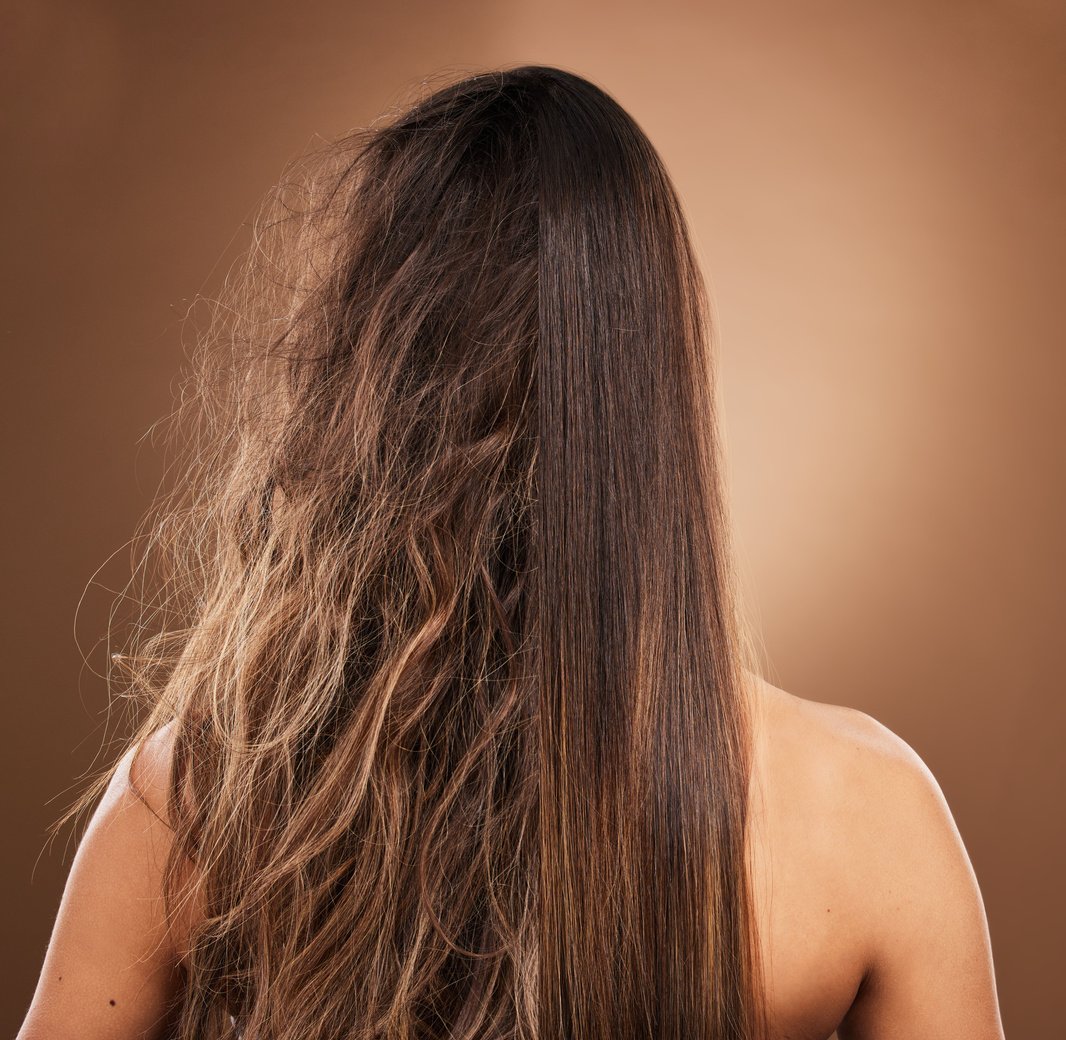 Frizz, Heat Damage and Hair of a Woman Isolated on a Brown Background in a Studio. Back, Salon Treatment and Lady Showing Results from Keratin Treatment, before and after a Hairdresser Procedure